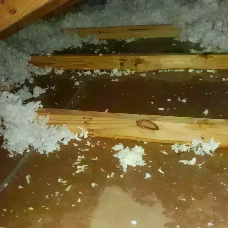 Attic Water Damage in El Cajon, CA