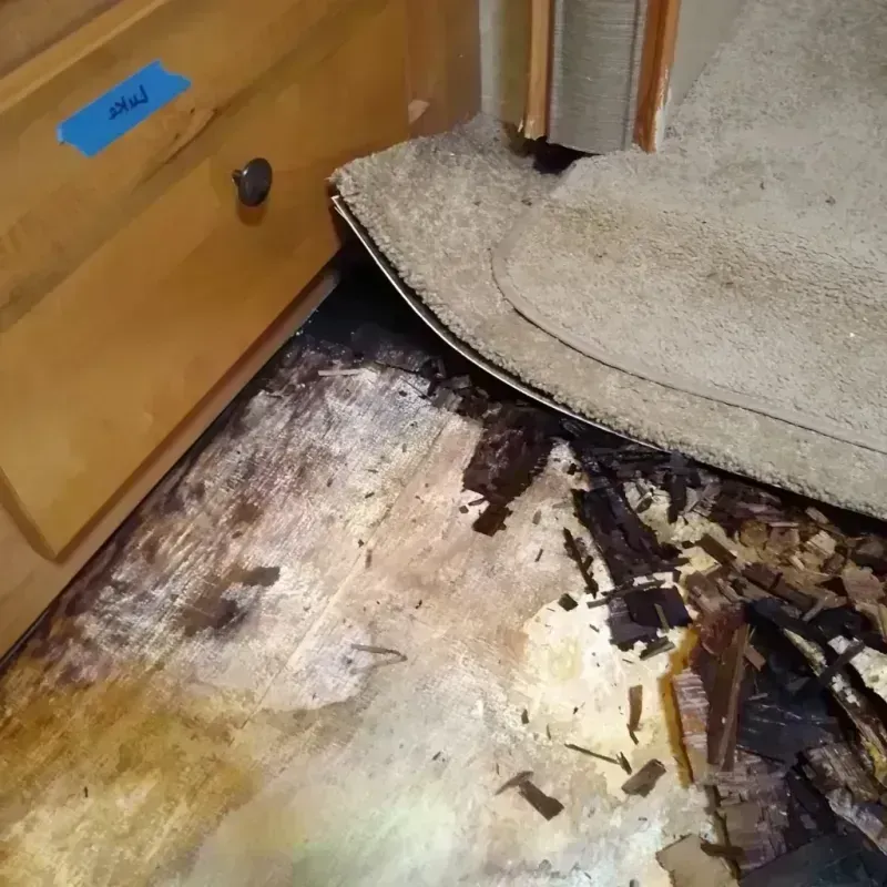 Best Wood Floor Water Damage Service in El Cajon, CA